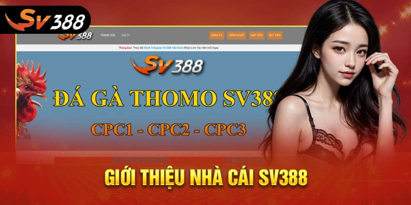SV388 28 Giới thiệu nhà cái SV388