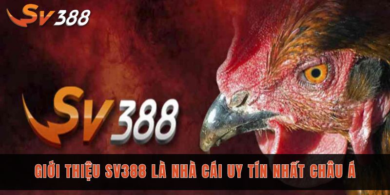 Giới thiệu Sv388 - Sân chơi cá cược đẳng cấp số 1 Châu Á 1 Giới thiệu Sv388 là nhà cái uy tín nhất Châu Á