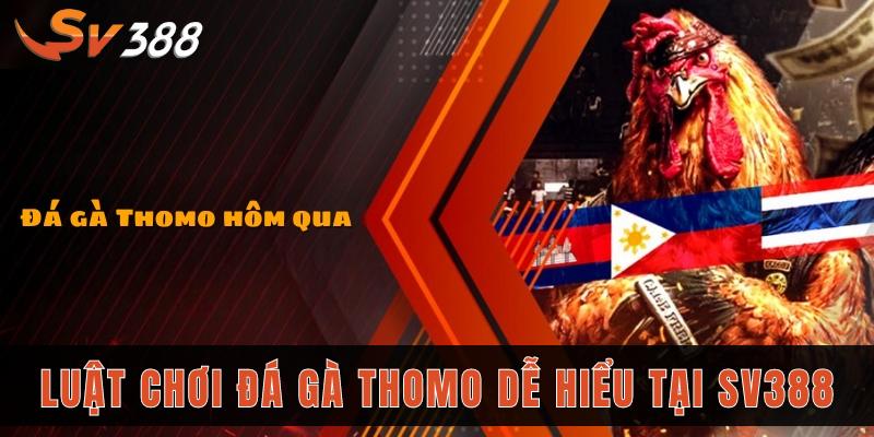 Luật chơi đá gà Thomo dễ hiểu tại SV388