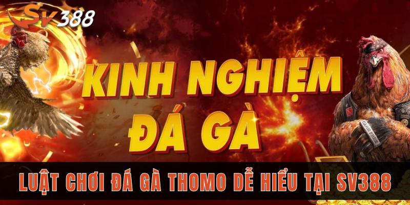 Trang bị 5 kinh nghiệm đá gà Thomo hiệu quả